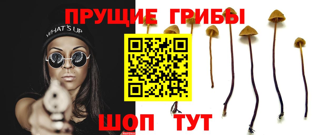Галлюциногенные грибы Magic Shrooms  Вход с VPN  Артёмовский 